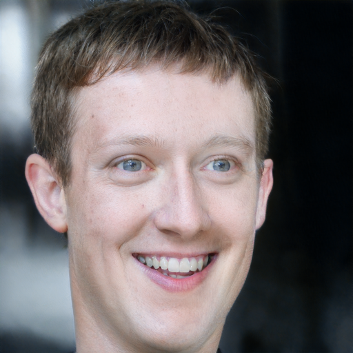 face -> robot face, beta = 0.08, alpha = 10